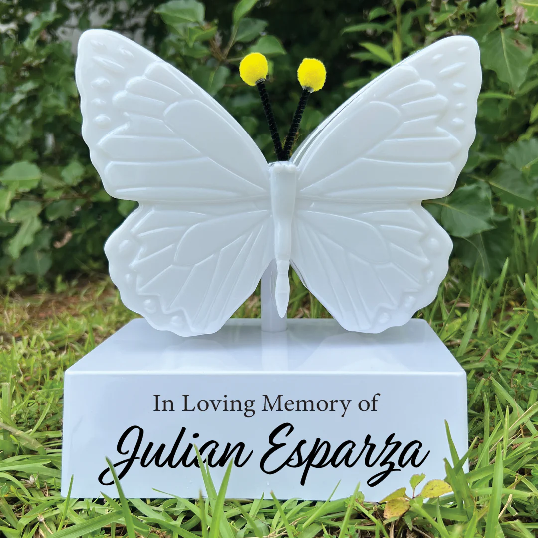 Eternal Light Butterfly - Image 8