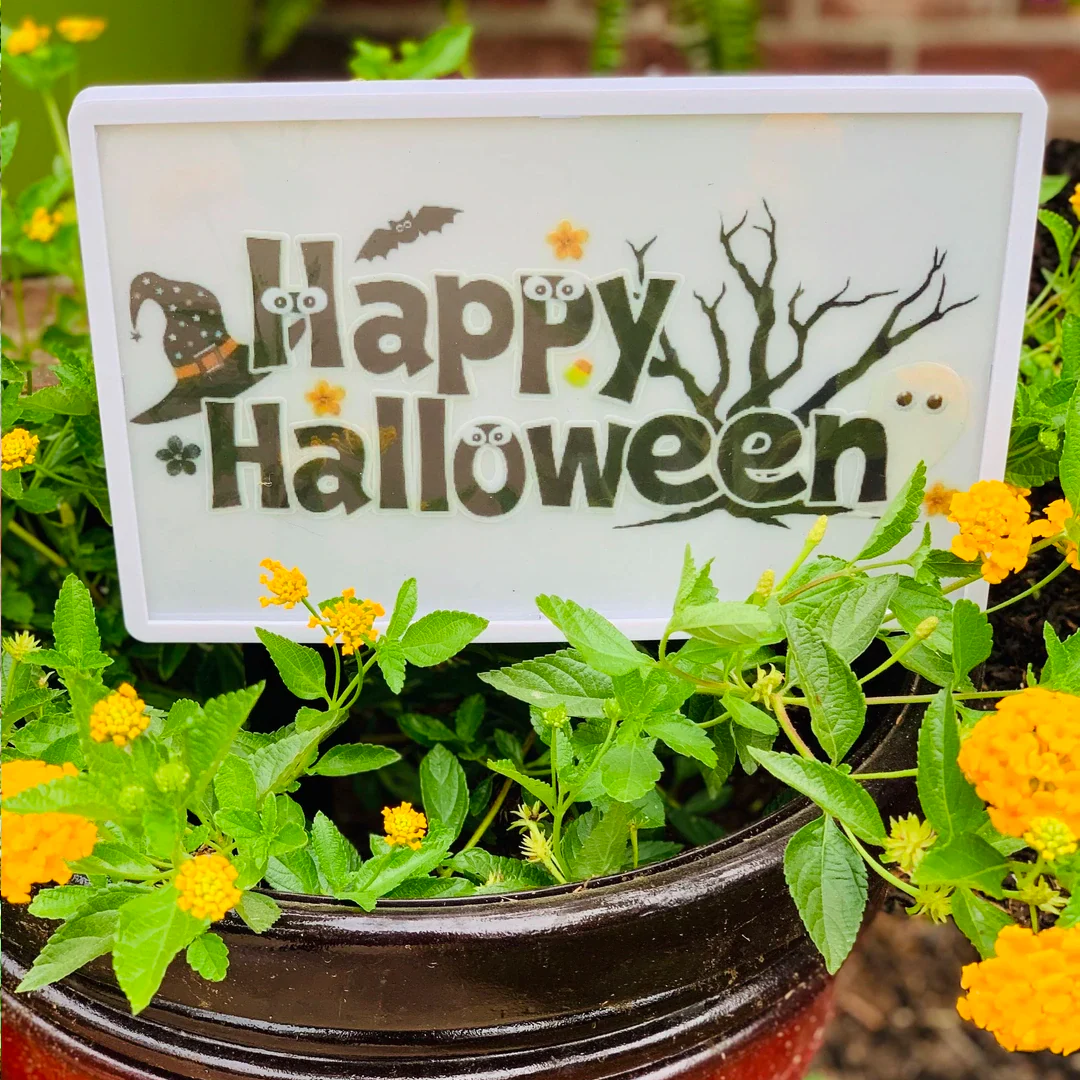 Eternal Light Holiday Sign (Plus 5 holiday design inserts) - Image 10